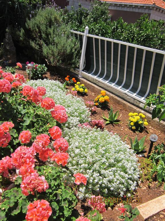 Guesthouse Korkyra Sun Korčula Dış mekan fotoğraf